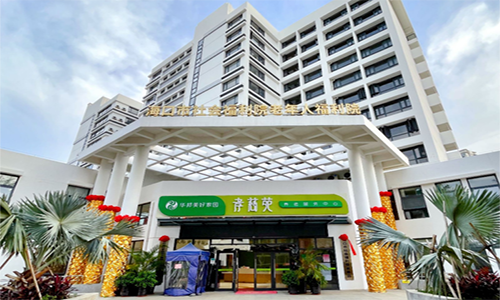 老年人中医养生：传承千年智慧